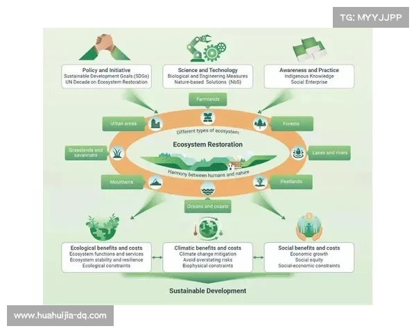 如何在蝴蝶平原有效保护生态环境促进可持续发展与生物多样性恢复