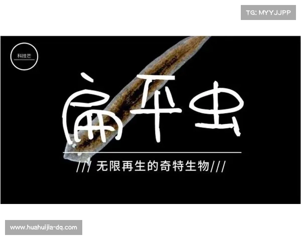 探索冰虫鳞片的奥秘揭示未来生物材料的无限潜力与应用前景 探索冰虫鳞片的奥秘揭示未来生物材料的无限潜力与应用前景