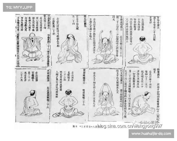 九阴真经追魂爪实战技巧全面解析助你掌控招式精髓提升搏击水平