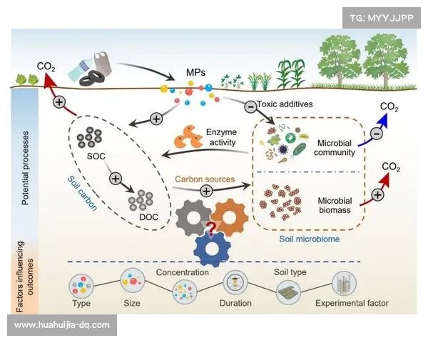 探析欧足联因素下英格兰夺冠缘何备受全球瞩目的深层原因多重动因析
