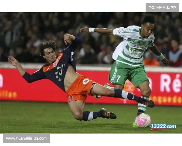 揭秘法甲21冠军背后五大隐秘真相的全景深度纪实之旅传奇篇章录